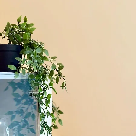 Thermae Loft Appartement Varna